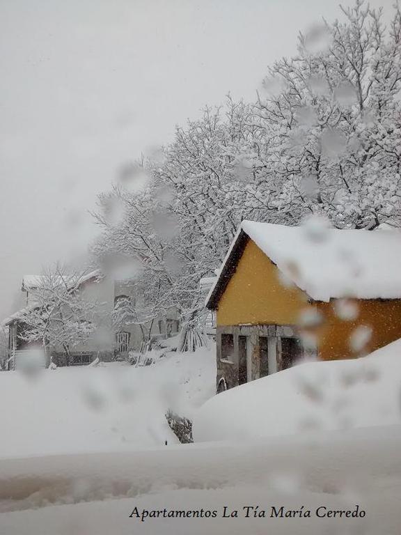 Tia Maria Bed and Breakfast Cerredo Εξωτερικό φωτογραφία